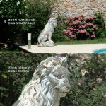 Comparaison zoom numérique zoom optique Comparaison zoom numérique zoom optique