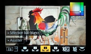 Balance des blancs pendant le tournage Balance des blancs pendant le tournage