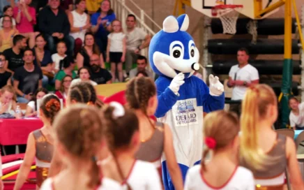 Finale Inter Départementale Fédérale d'Occitanie de gymnastique à Albi Finale Inter Départementale Fédérale d'Occitanie de gymnastique à Albi