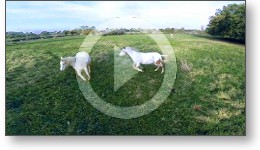 Film vidéo de présentation d'un gîte équestre à partir de vues aériennes depuis un drone