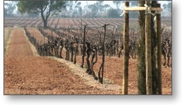 Film de présentation des domaines viticoles Barsalou