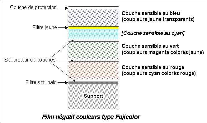 Film négatif couleur