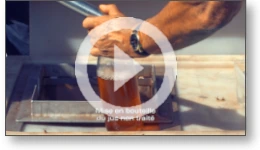 Film vidéo sur le pressage de pommes (Tarn)